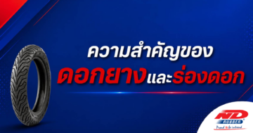 ความสำคัญของดอกยางและร่องดอก