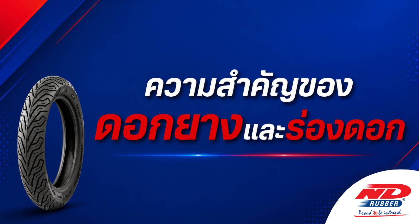 ความสำคัญของดอกยางและร่องดอก
