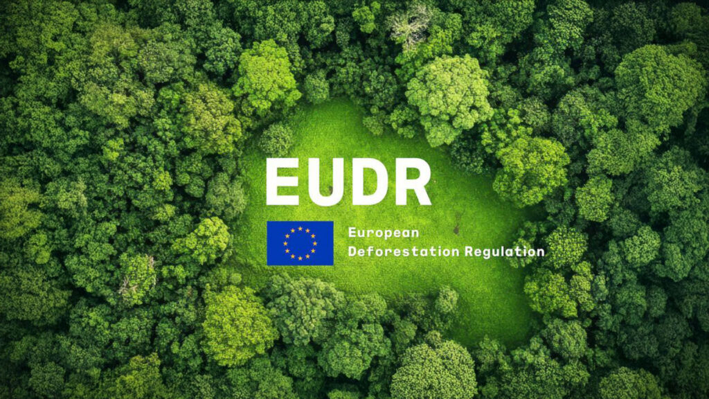 EU Deforestation Regulation